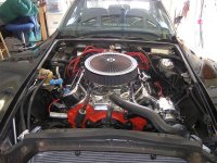 BIG HEAD INSTALL 004 (Medium).jpg BIG HEAD INSTALL 004 (Medium).jpg