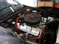 BIG HEAD INSTALL 006 (Medium).jpg BIG HEAD INSTALL 006 (Medium).jpg