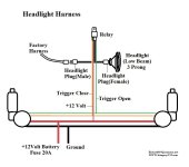 Headlight harnessREV.jpg Headlight harnessREV.jpg