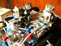 P1010498.jpg P1010498.jpg