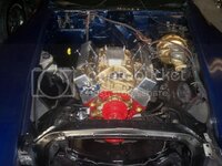 100_2277Small.jpg 100_2277Small.jpg