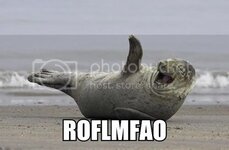 roflmfao.jpg