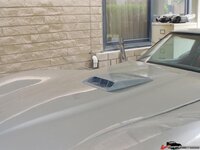 3548208e3487955.jpg 3548208e3487955.jpg