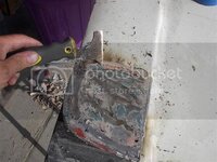 IM004531Small.jpg IM004531Small.jpg