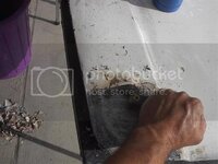 IM004532Small.jpg IM004532Small.jpg