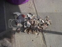 IM004530Small.jpg IM004530Small.jpg