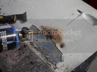 IM004536Small.jpg IM004536Small.jpg