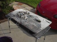 IM004538Small.jpg IM004538Small.jpg