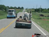 664a3c57c37fb86.jpg 664a3c57c37fb86.jpg