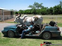 664a3c57399a20f.jpg 664a3c57399a20f.jpg