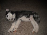 DSCN0735.jpg DSCN0735.jpg