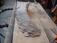 DSC06473.jpg DSC06473.jpg