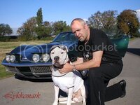 bil-og-drago1.jpg bil-og-drago1.jpg