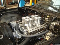 24c533501a6dcf.jpg 24c533501a6dcf.jpg