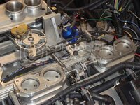 DSC03135.jpg DSC03135.jpg