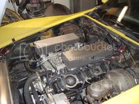 DSC03131.jpg DSC03131.jpg