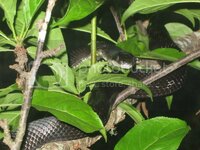 IMG_1493.jpg IMG_1493.jpg