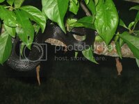 IMG_1494.jpg IMG_1494.jpg