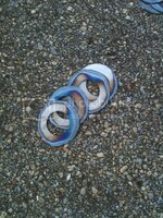 IMG_0901.jpg IMG_0901.jpg