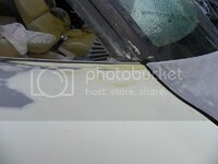 100_1303.jpg 100_1303.jpg