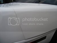 newvette007.jpg newvette007.jpg