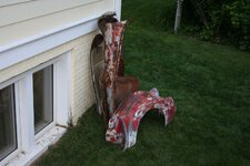 IMG_2342.jpg IMG_2342.jpg