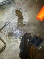 IMG_20121119_220559.jpg IMG_20121119_220559.jpg