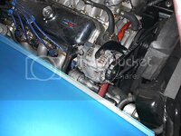 IM002279_zps8c3702c2.jpg IM002279_zps8c3702c2.jpg