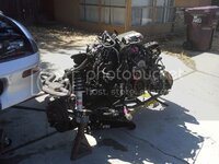 20130921_120108_zps1bfa55a2.jpg 20130921_120108_zps1bfa55a2.jpg