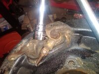 IMG02575-20131019-1100_zpsf4343736.jpg IMG02575-20131019-1100_zpsf4343736.jpg