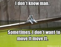 funny-animal-pictures-with-captions-010-008.jpg funny-animal-pictures-with-captions-010-008.jpg