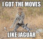 funny-animal-pictures-with-captions-010-006.jpg funny-animal-pictures-with-captions-010-006.jpg