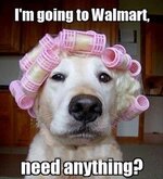 funny-animal-pictures-with-captions-010-011.jpg funny-animal-pictures-with-captions-010-011.jpg