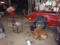 PA011118_zpsgy2gbfui.jpg PA011118_zpsgy2gbfui.jpg