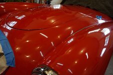 DSC03507_zpsovnfnkqr.jpg DSC03507_zpsovnfnkqr.jpg