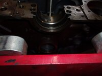 ZMNuBtch.jpg ZMNuBtch.jpg