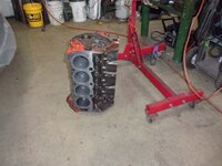 MeIL4s9h.jpg MeIL4s9h.jpg