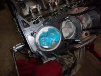 SqyoCA1h.jpg SqyoCA1h.jpg