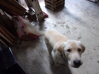 g8fDRyvh.jpg g8fDRyvh.jpg