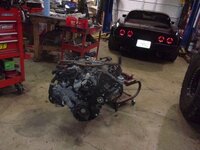 jT6Ydamh.jpg