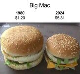 IMG_2518.jpeg IMG_2518.jpeg