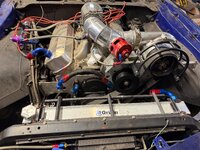 IMG_5972.jpeg