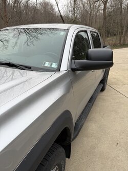 IMG_6239.jpeg