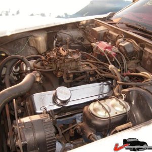 73 vette 005 (Small).jpg