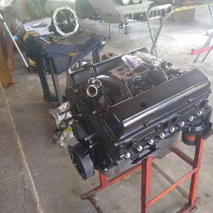 Vette 16.jpg