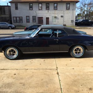 IMG-3614 (1) resized.JPG