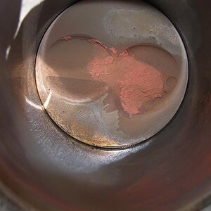 P1010470 (Large).JPG