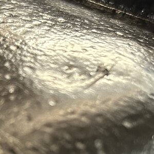 IMG_2399.jpeg