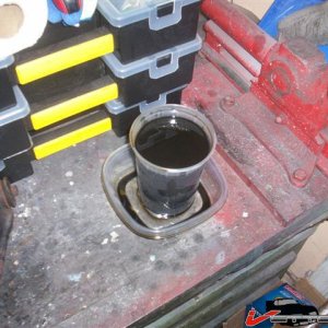 100_4898 (Small).JPG