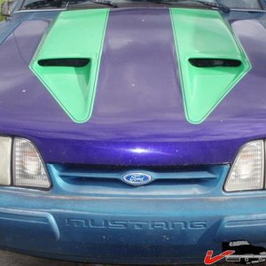 PC160016 (Large).JPG